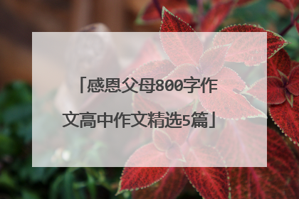 感恩父母800字作文高中作文精选5篇