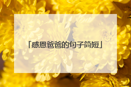 感恩爸爸的句子简短