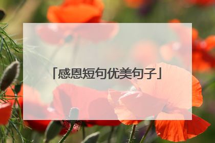 感恩短句优美句子