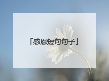 感恩短句句子