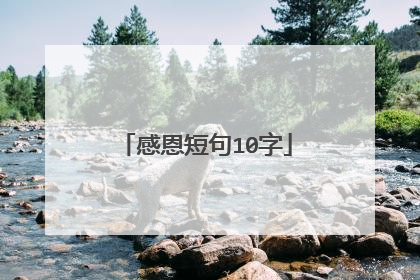 感恩短句10字
