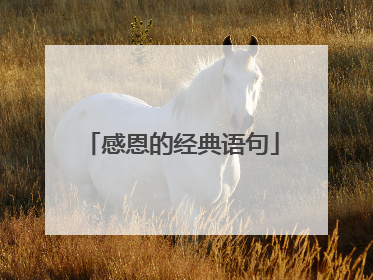 感恩的经典语句