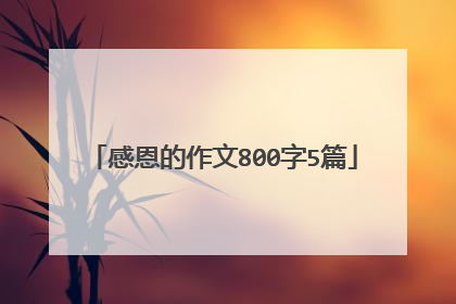 感恩的作文800字5篇