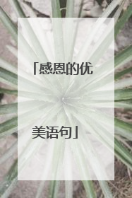 感恩的优美语句