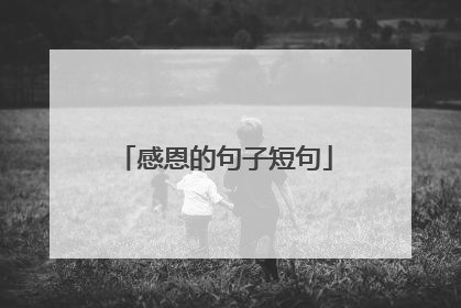 感恩的句子短句