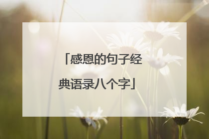 感恩的句子经典语录八个字