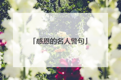 感恩的名人警句