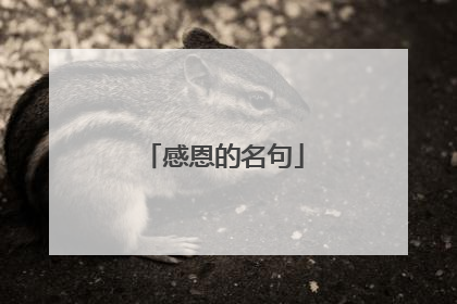 感恩的名句