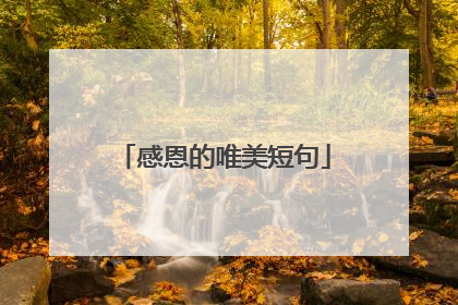 感恩的唯美短句