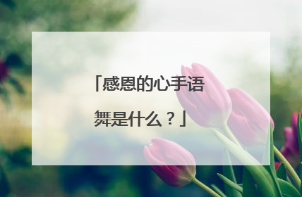 感恩的心手语舞是什么?