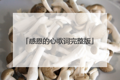 感恩的心歌词完整版