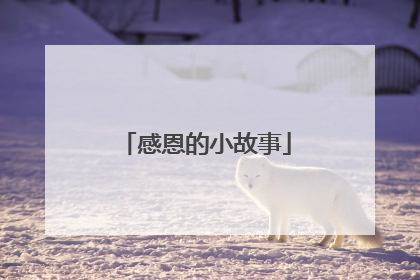 感恩的小故事