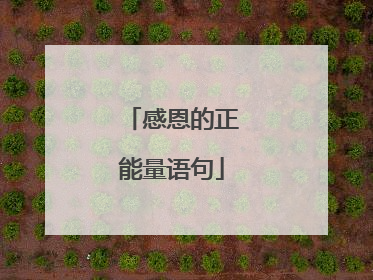感恩的正能量语句