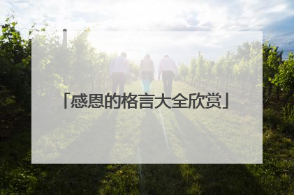 感恩的格言大全欣赏