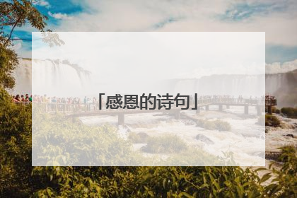 感恩的诗句