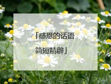感恩的话语简短精辟