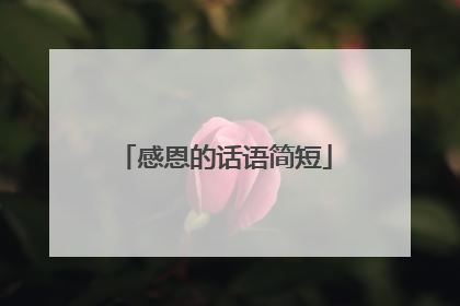 感恩的话语简短