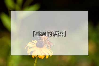 感恩的话语