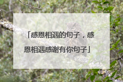 感恩相遇的句子,感恩相遇感谢有你句子