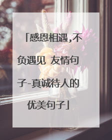 感恩相遇,不负遇见 友情句子-真诚待人的优美句子