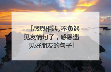 感恩相遇,不负遇见友情句子，感恩遇见好朋友的句子