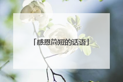 感恩简短的话语
