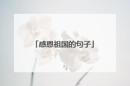 感恩祖国的句子