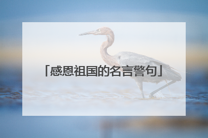 感恩祖国的名言警句