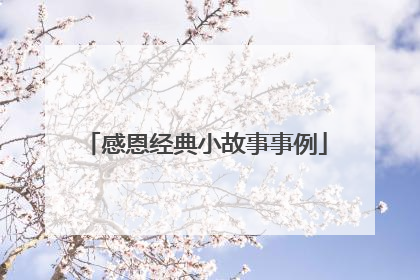感恩经典小故事事例