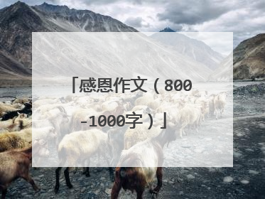 感恩作文(800-1000字)