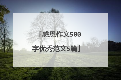 感恩作文500字优秀范文5篇
