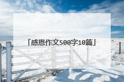 感恩作文500字10篇