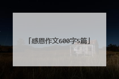 感恩作文600字5篇
