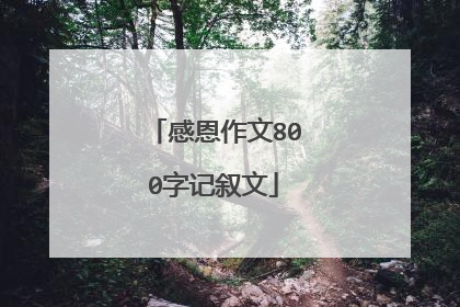 感恩作文800字记叙文