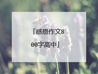 感恩作文800字高中