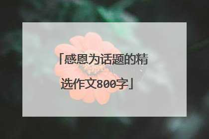 感恩为话题的精选作文800字