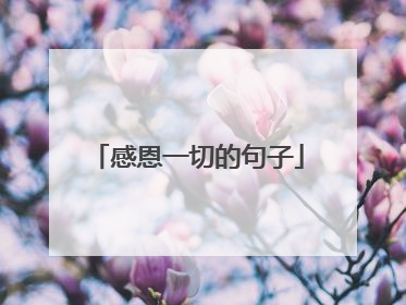 感恩一切的句子
