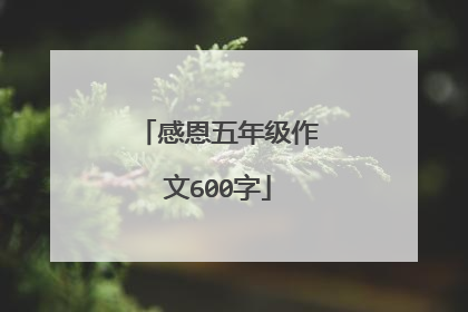 感恩五年级作文600字