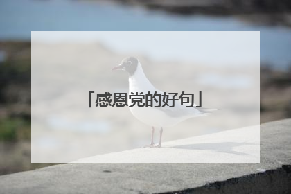 感恩党的好句