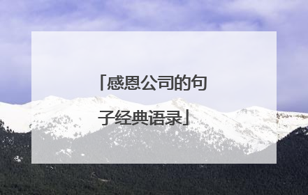 感恩公司的句子经典语录