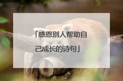 感恩别人帮助自己成长的诗句