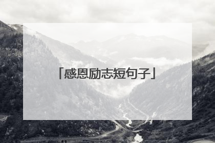 感恩励志短句子