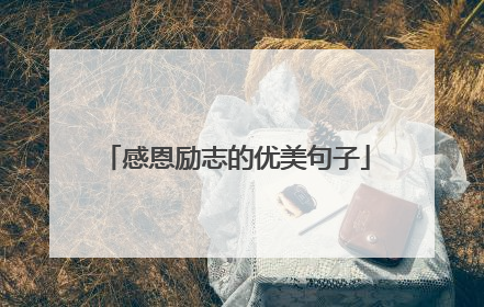 感恩励志的优美句子