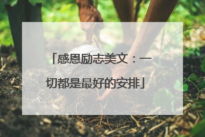 感恩励志美文:一切都是最好的安排