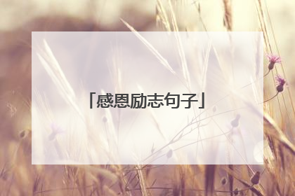 感恩励志句子