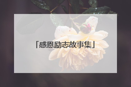 感恩励志故事集