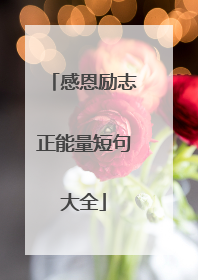 感恩励志正能量短句大全