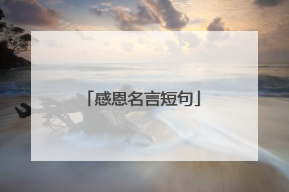 感恩名言短句