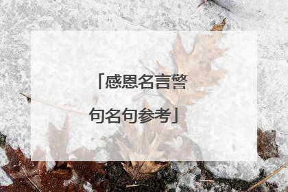 感恩名言警句名句参考