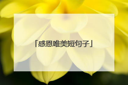 感恩唯美短句子